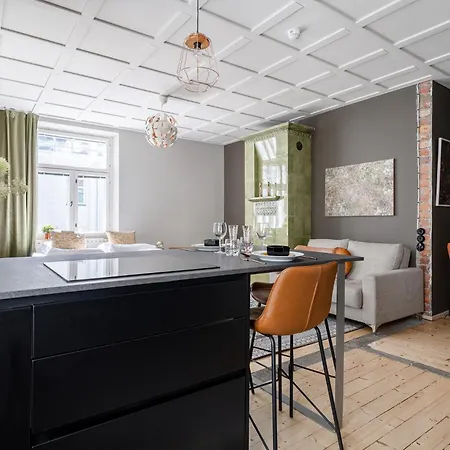 Renovated Historical Studio - Best Location Tampere
